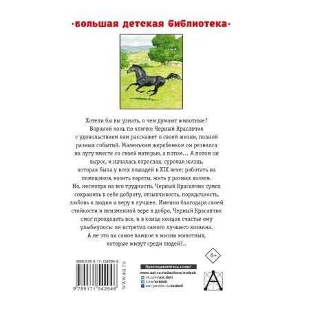 Черный красавчик