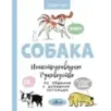 Собака. Иллюстрированное руководство по общению с домашним питомцем