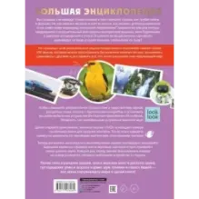 Большая энциклопедия. 501 звук и 1001 иллюстрация