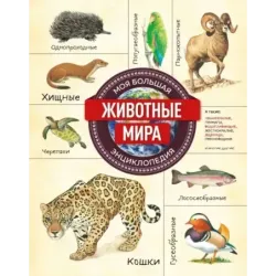Животные мира. Моя большая энциклопедия