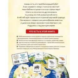 Животные мира. Моя большая энциклопедия