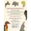 Энциклопедия удивительных животных