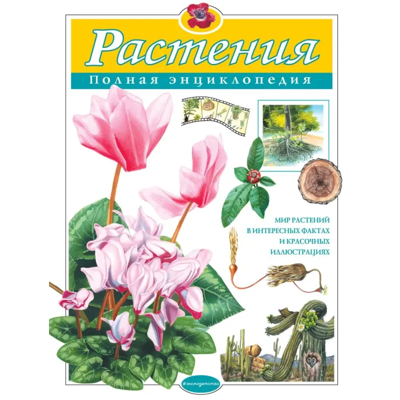 Растения. Полная энциклопедия Растения. Полная энциклопедия