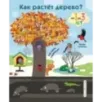 Как растет дерево?