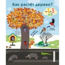 Как растет дерево?