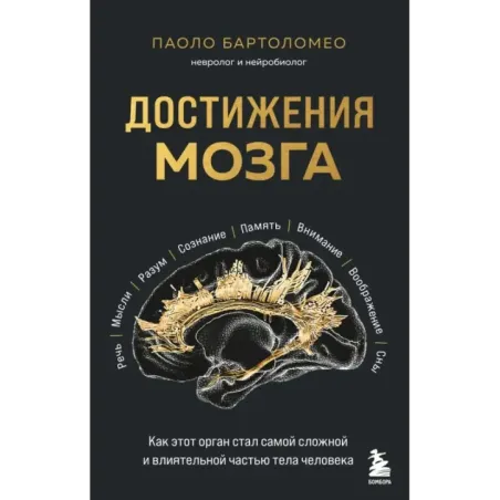 Достижения мозга. Как этот орган стал самой сложной и влиятельной частью тела человека