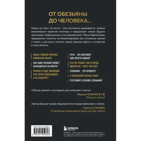 Достижения мозга. Как этот орган стал самой сложной и влиятельной частью тела человека