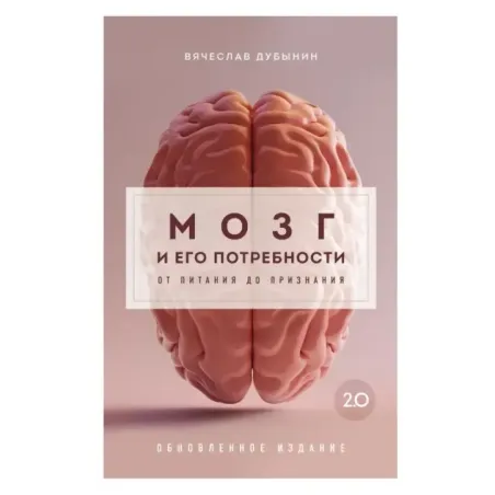 Мозг и его потребности 2.0. От питания до признания