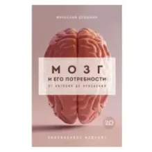 Мозг и его потребности 2.0. От питания до признания