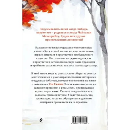 Говорящий с дождем. Чудеса и истории исцеления Ом Свами