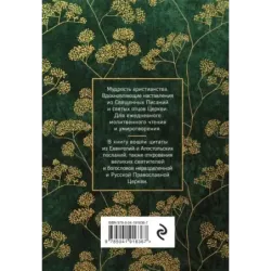 Тихое пристанище Твое. Как обрести спокойствие души и мир сердца