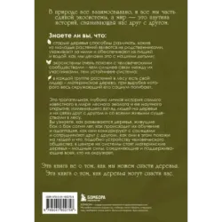 Мудрость леса. В поисках материнского древа и таинственной связи всего живого