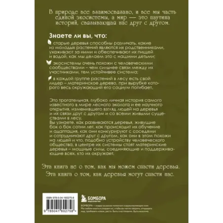 Мудрость леса. В поисках материнского древа и таинственной связи всего живого