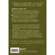 Мудрость леса. В поисках материнского древа и таинственной связи всего живого
