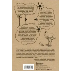 Автостопом по мозгу. Когда вся вселенная у тебя в голове