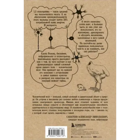 Автостопом по мозгу. Когда вся вселенная у тебя в голове