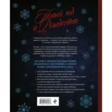 Новый год и Рождество. Волшебная история зимнего праздника от древности до наших времён