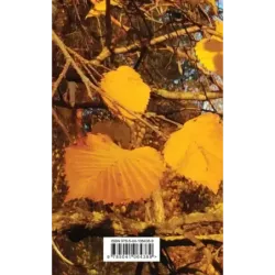 В ожидании осени