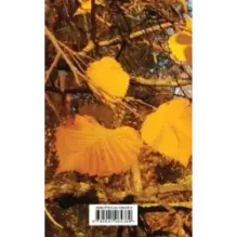 В ожидании осени